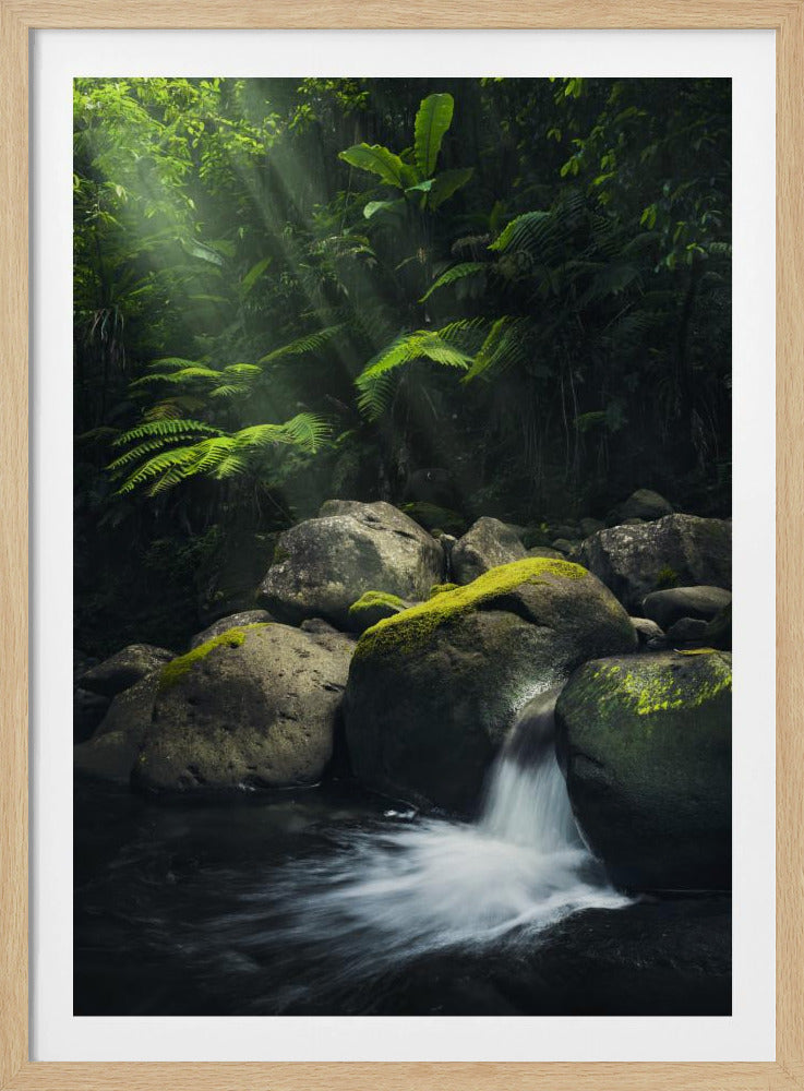 Mystic Jungle | Poster