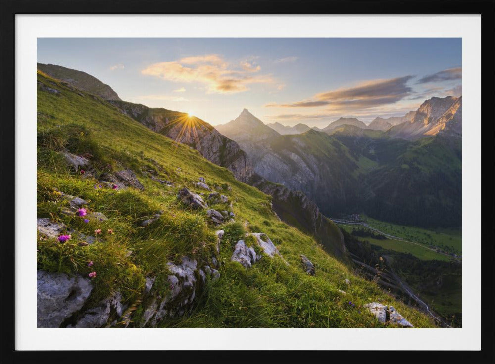 Summer Meadow | Poster