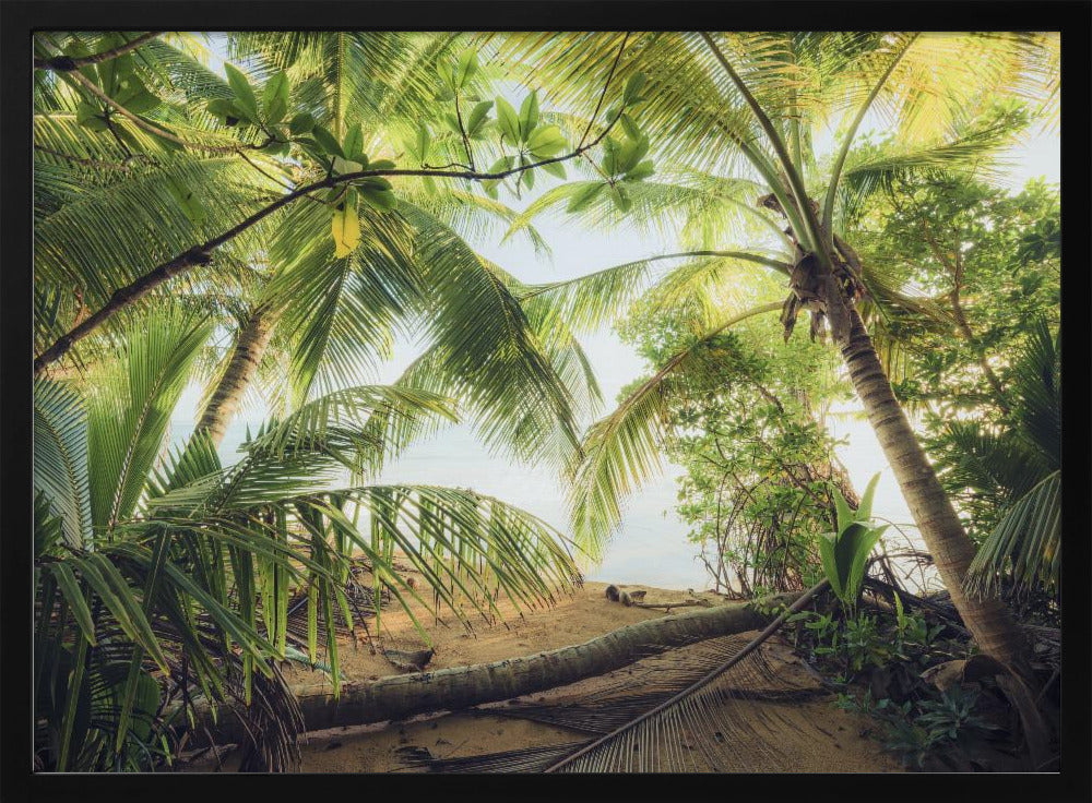 Pirates Nest | Poster