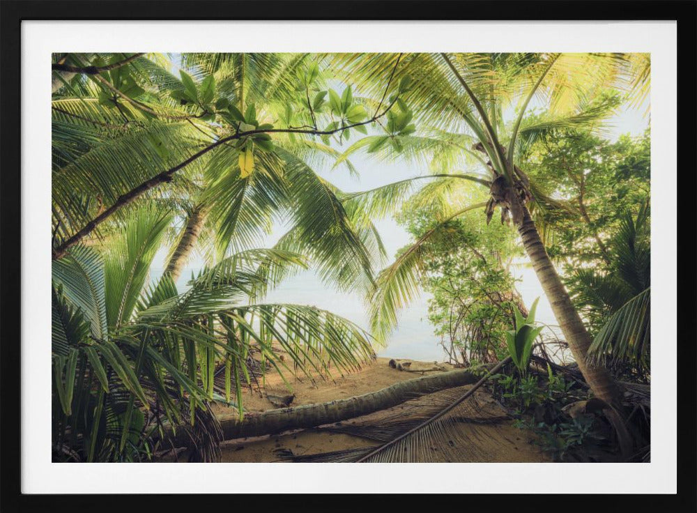 Pirates Nest | Poster