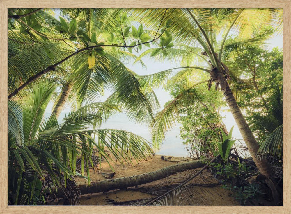 Pirates Nest | Poster