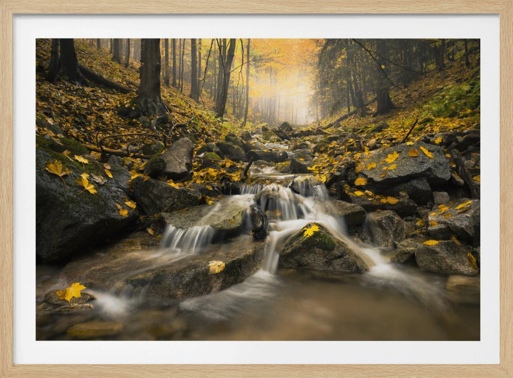 Autum Stream | Poster