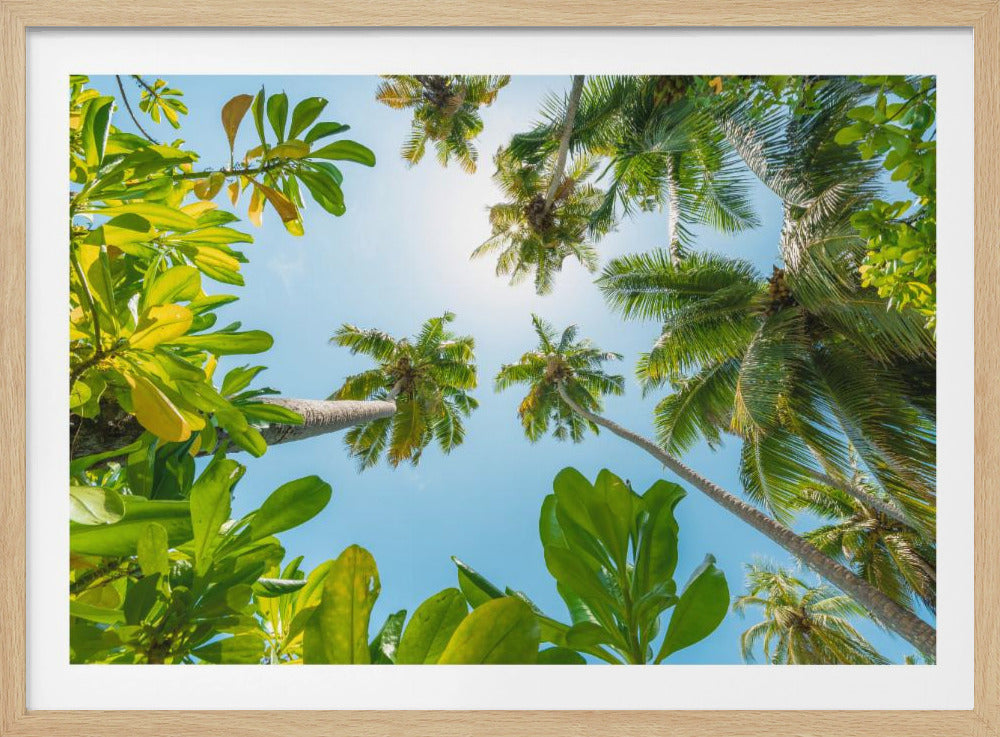 Tropical Up | Poster