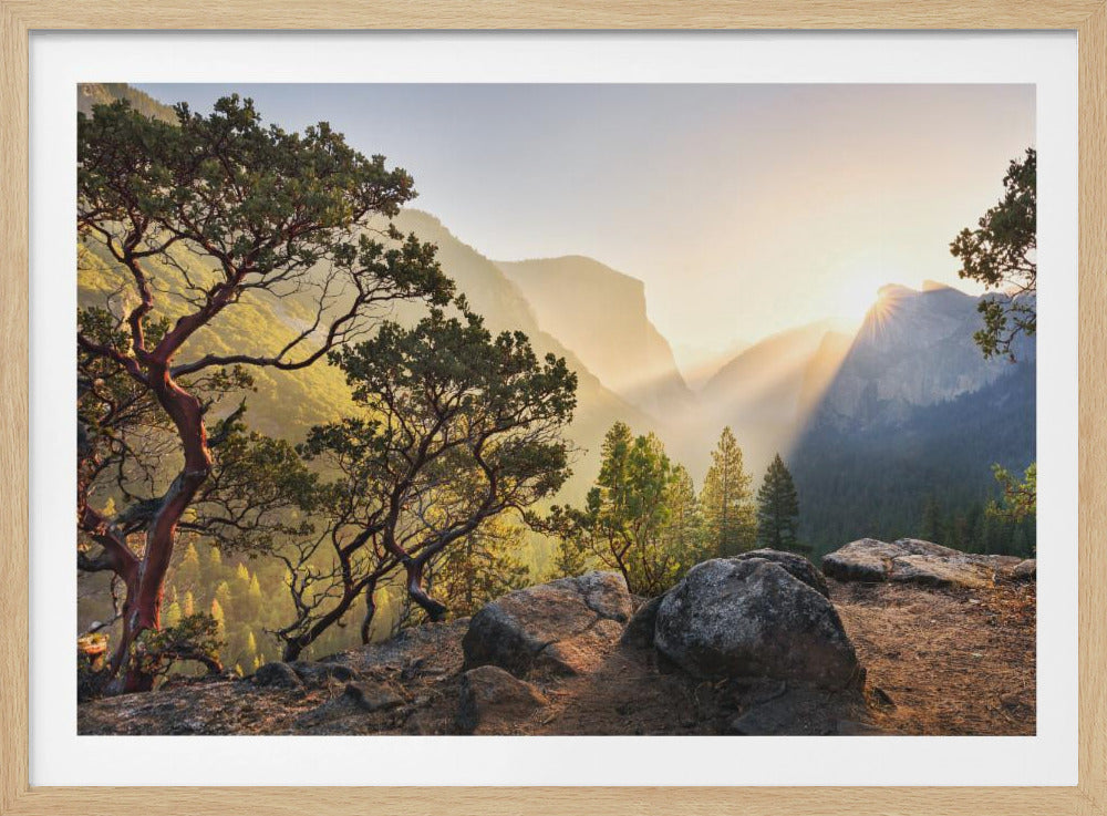 Yosemites Secret | Poster