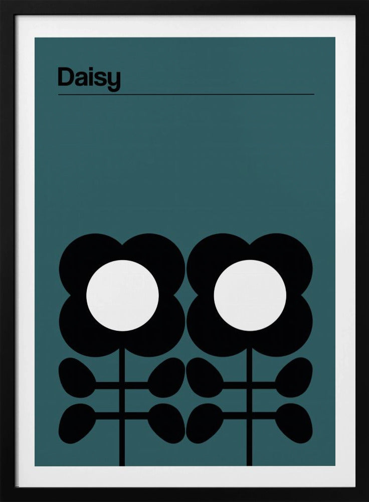 Daisy Teal | Poster