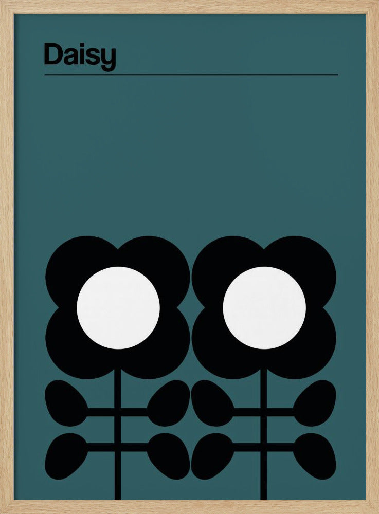 Daisy Teal | Poster