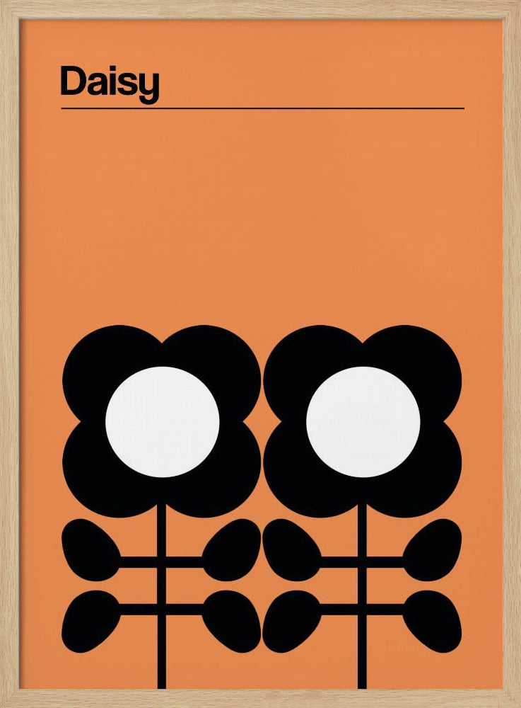 Daisy Mellow Yellow | Poster