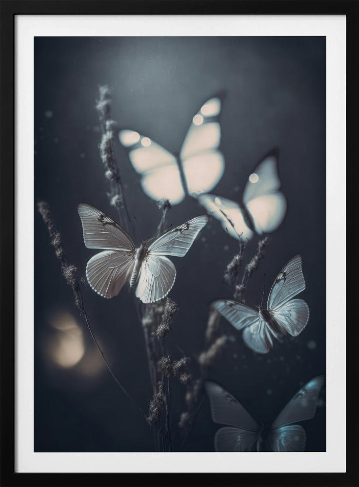 Whispering Wings | Poster