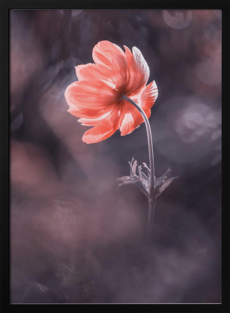 The Lighthouse | Poster