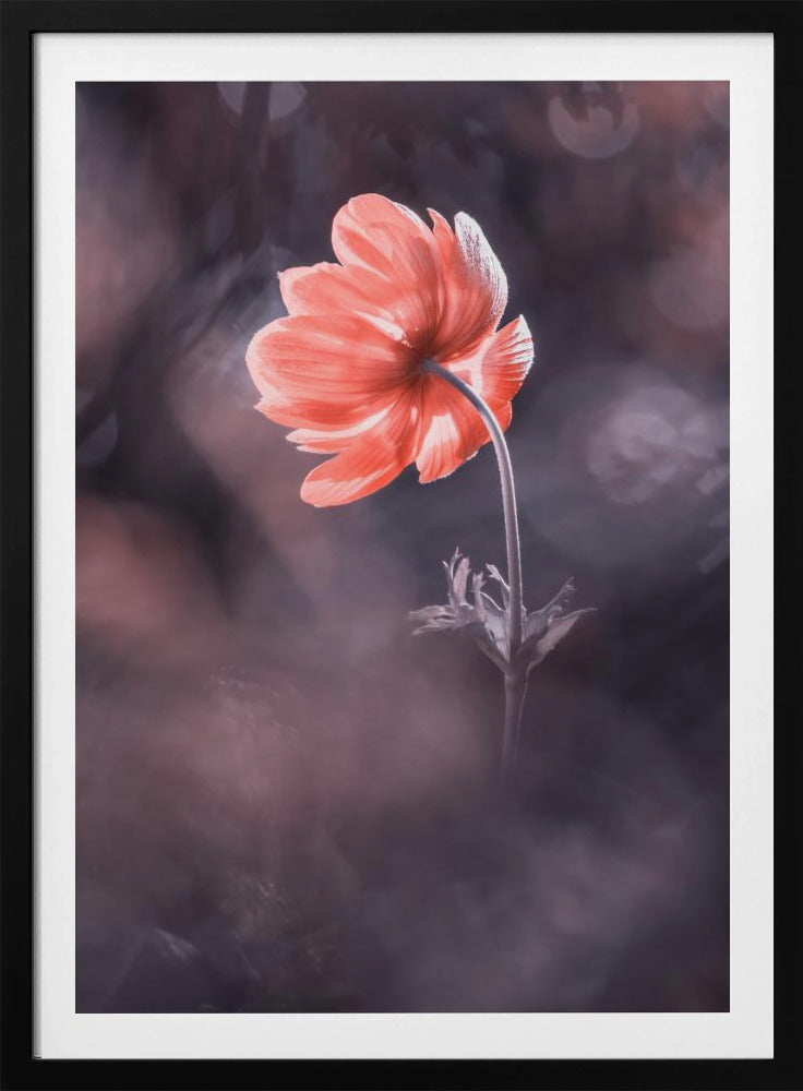 The Lighthouse | Poster