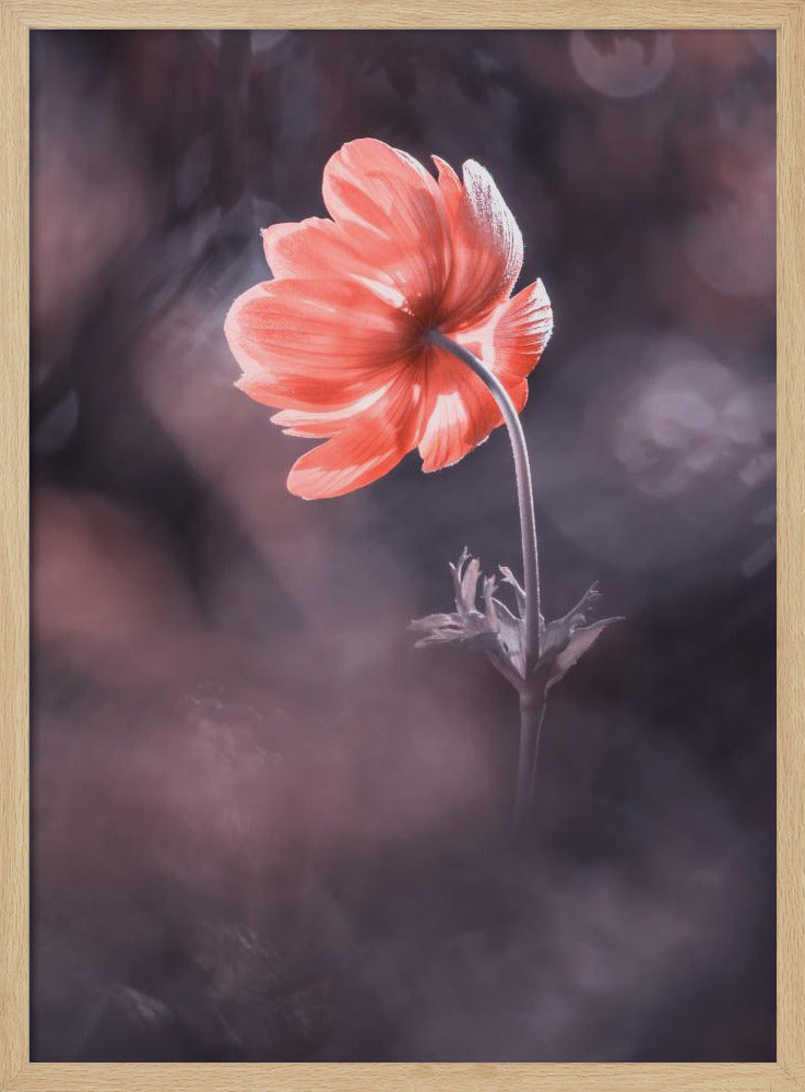 The Lighthouse | Poster