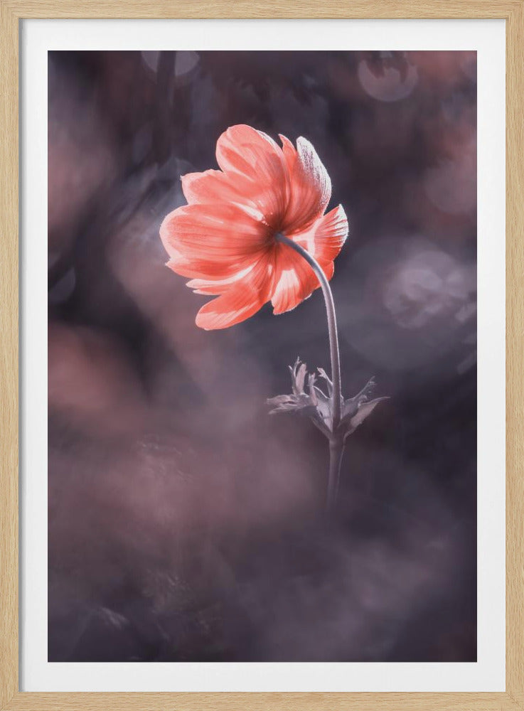 The Lighthouse | Poster