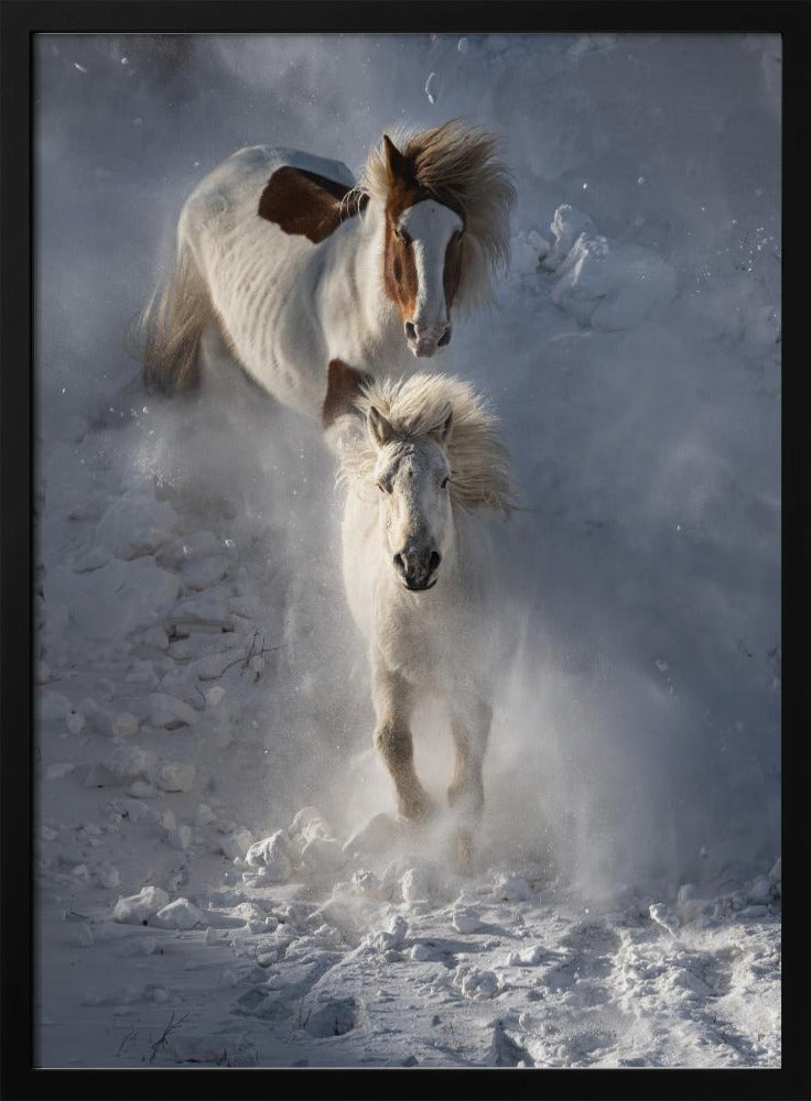 Two Horses | Poster