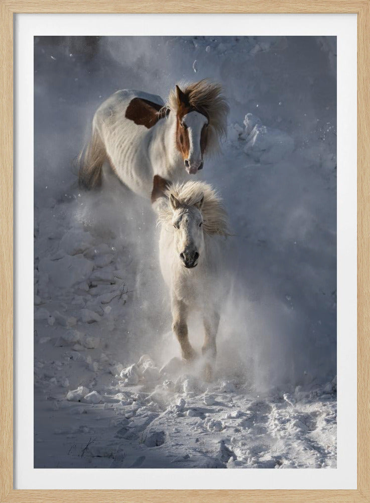 Two Horses | Poster