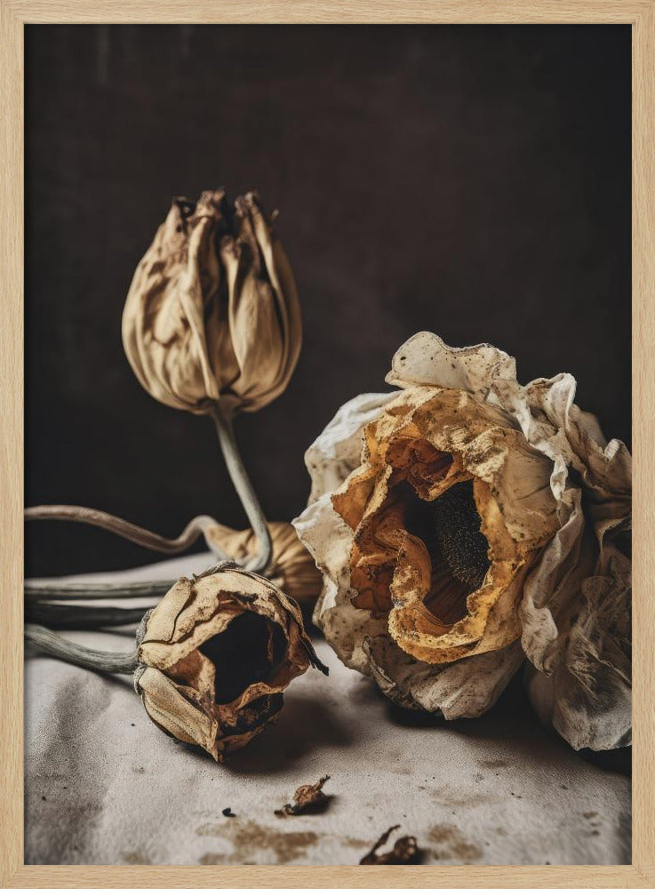 Whispers of Decay | Poster