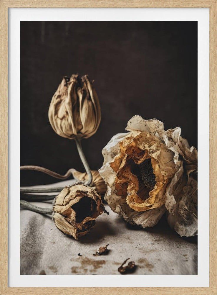 Whispers of Decay | Poster