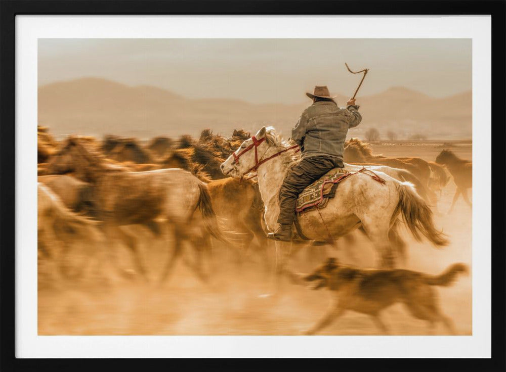 Wild horses (aka Yılkı Atları) | Poster