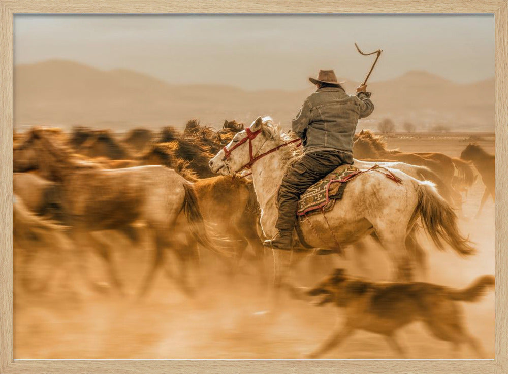 Wild horses (aka Yılkı Atları) | Poster