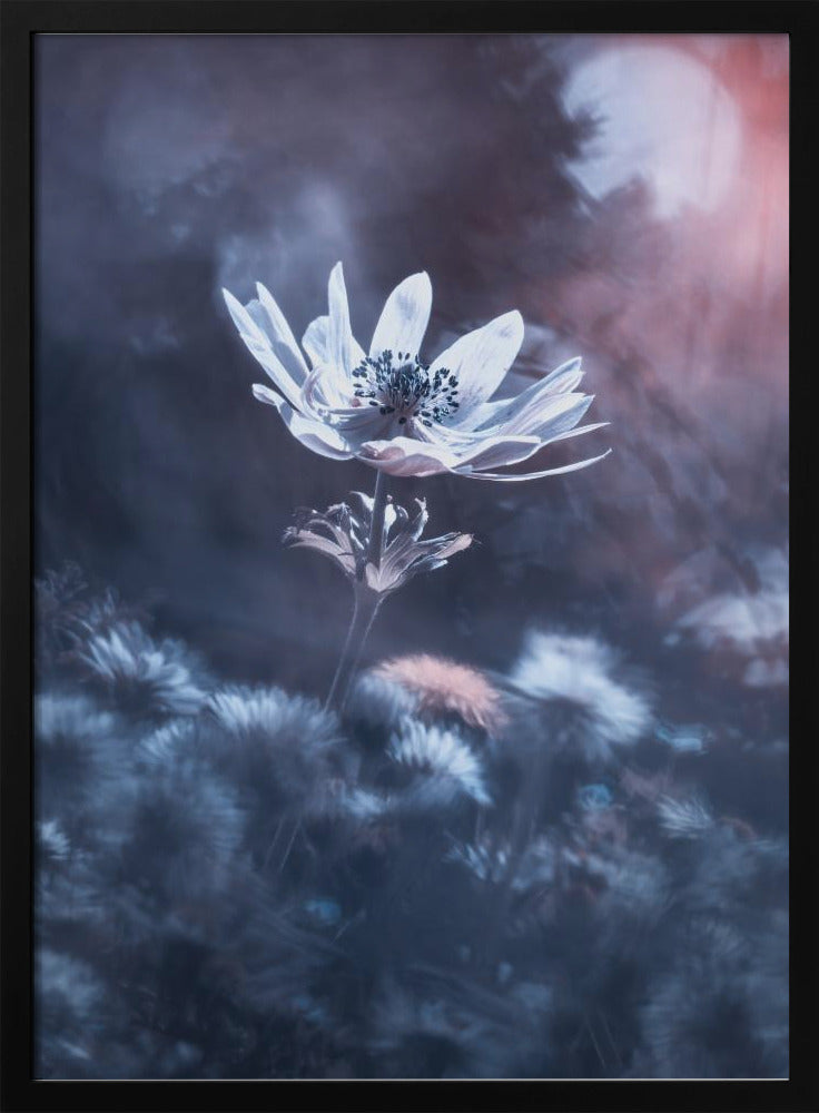 The divine sound of creation | Poster