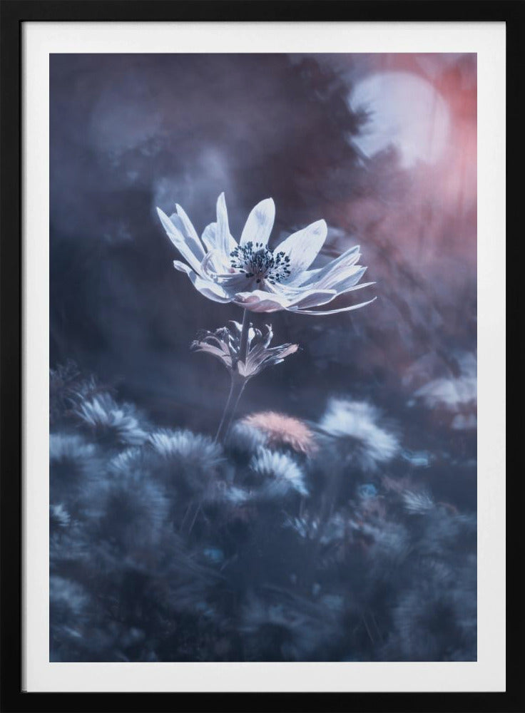 The divine sound of creation | Poster