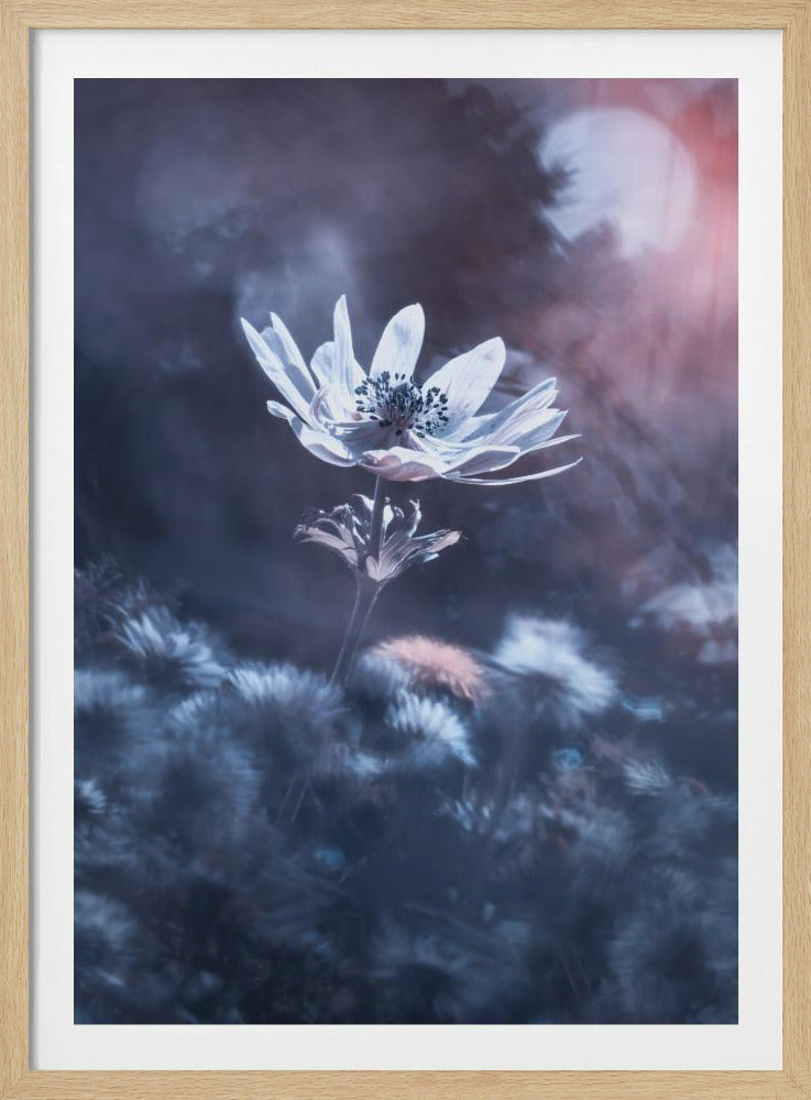 The divine sound of creation | Poster