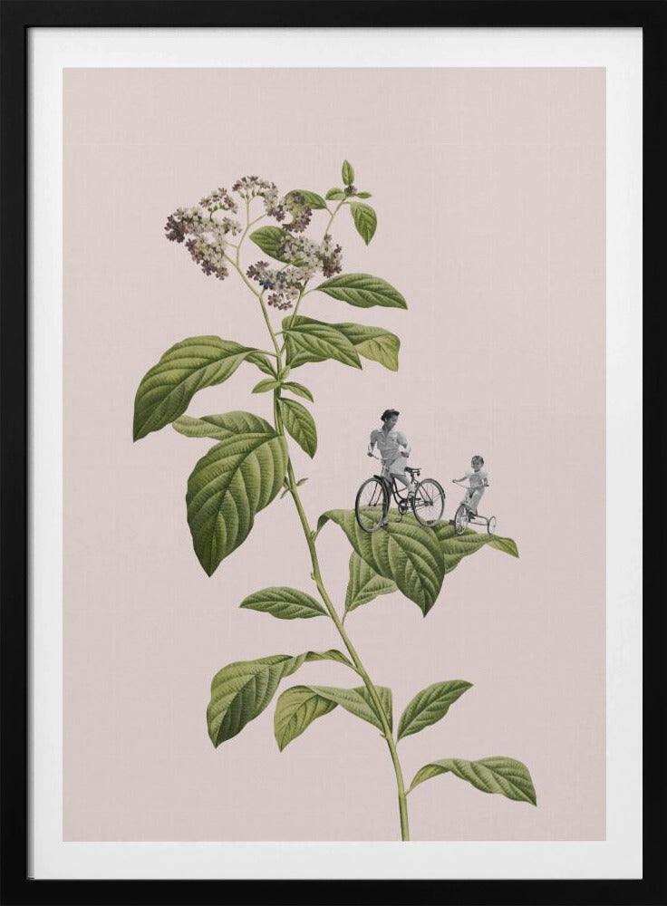 Botanical cycling | Poster