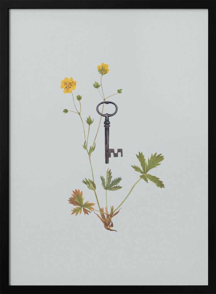 Botanical vintage key | Poster