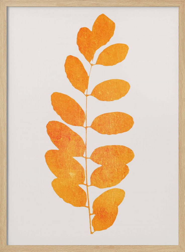 Oak Leaf | Poster