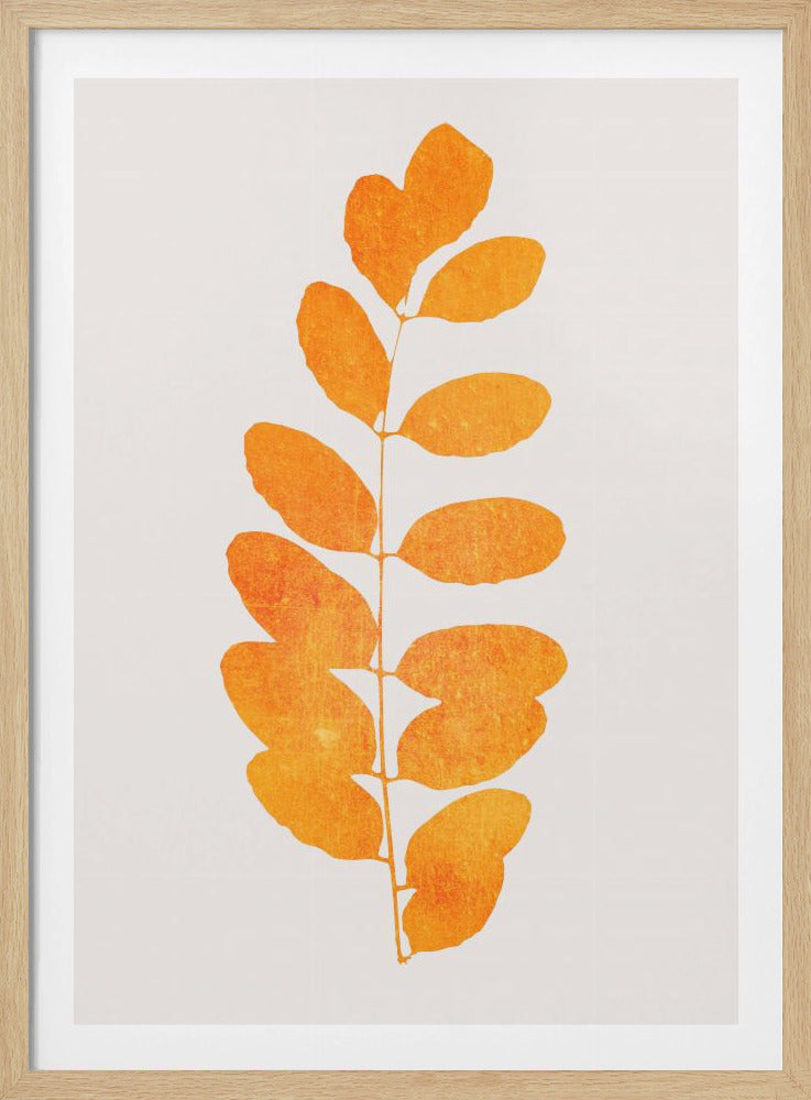 Oak Leaf | Poster