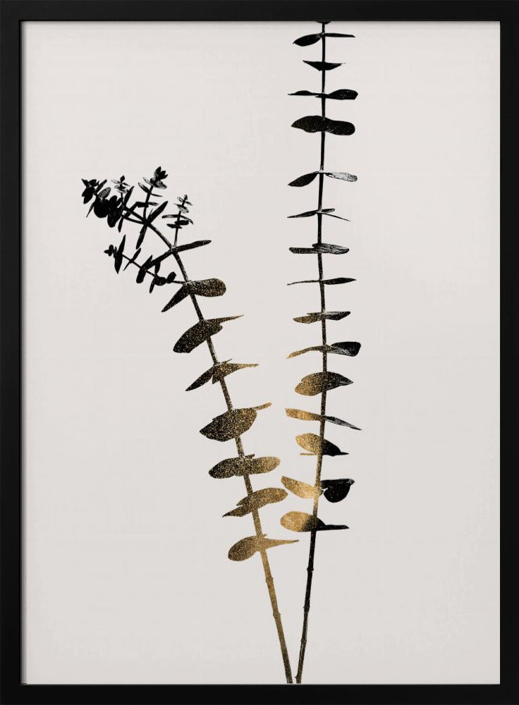 Eucalyptus Dark Gold | Poster