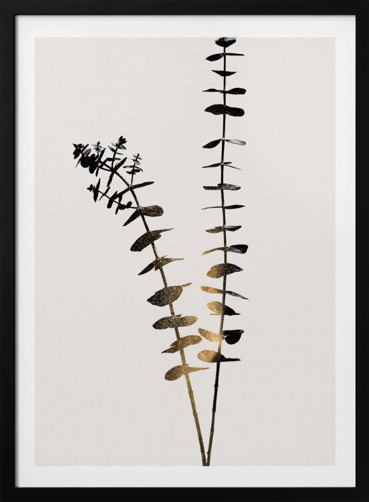 Eucalyptus Dark Gold | Poster