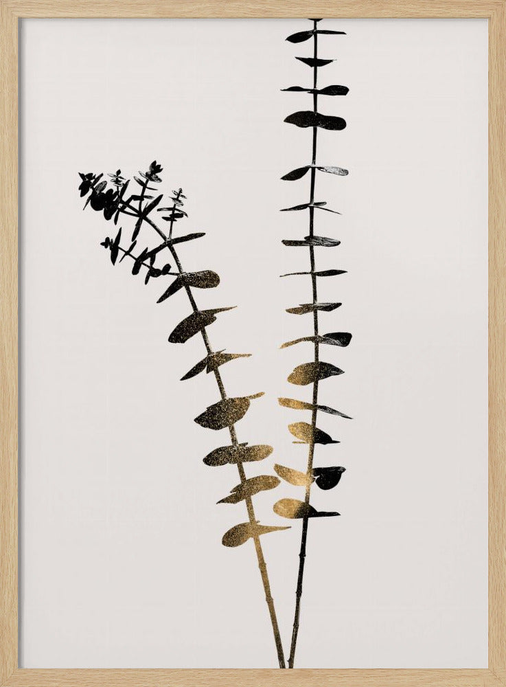 Eucalyptus Dark Gold | Poster