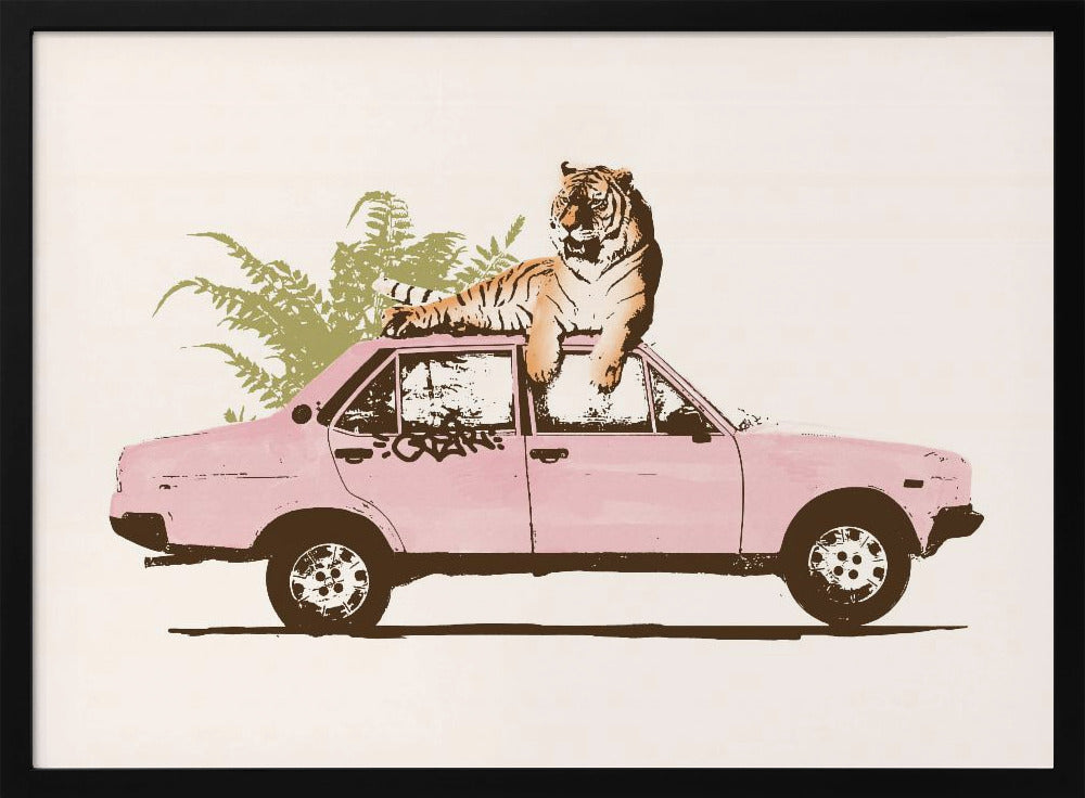 Tiger On Car | Poster