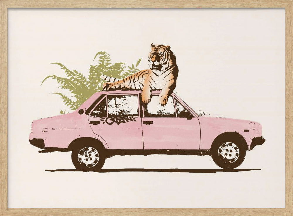 Tiger On Car | Poster