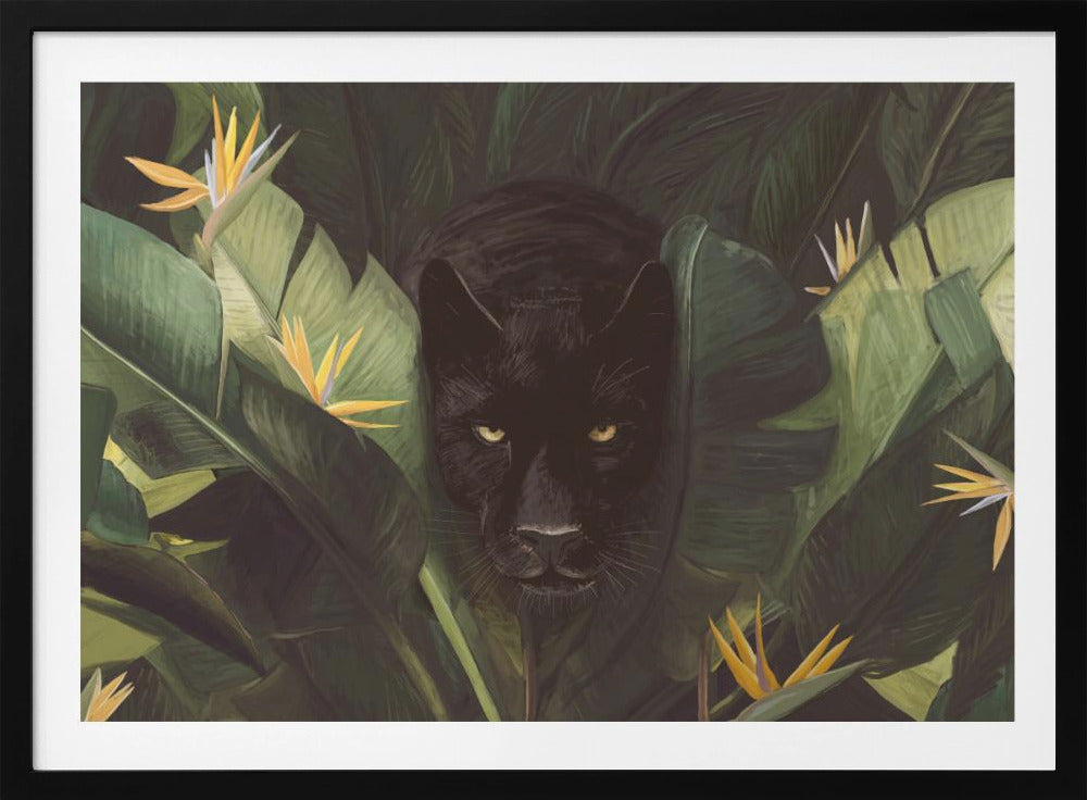 Hello Panther | Poster