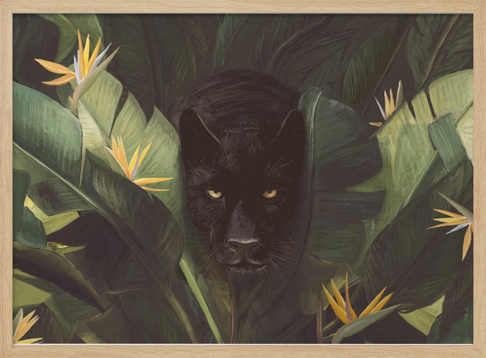 Hello Panther | Poster