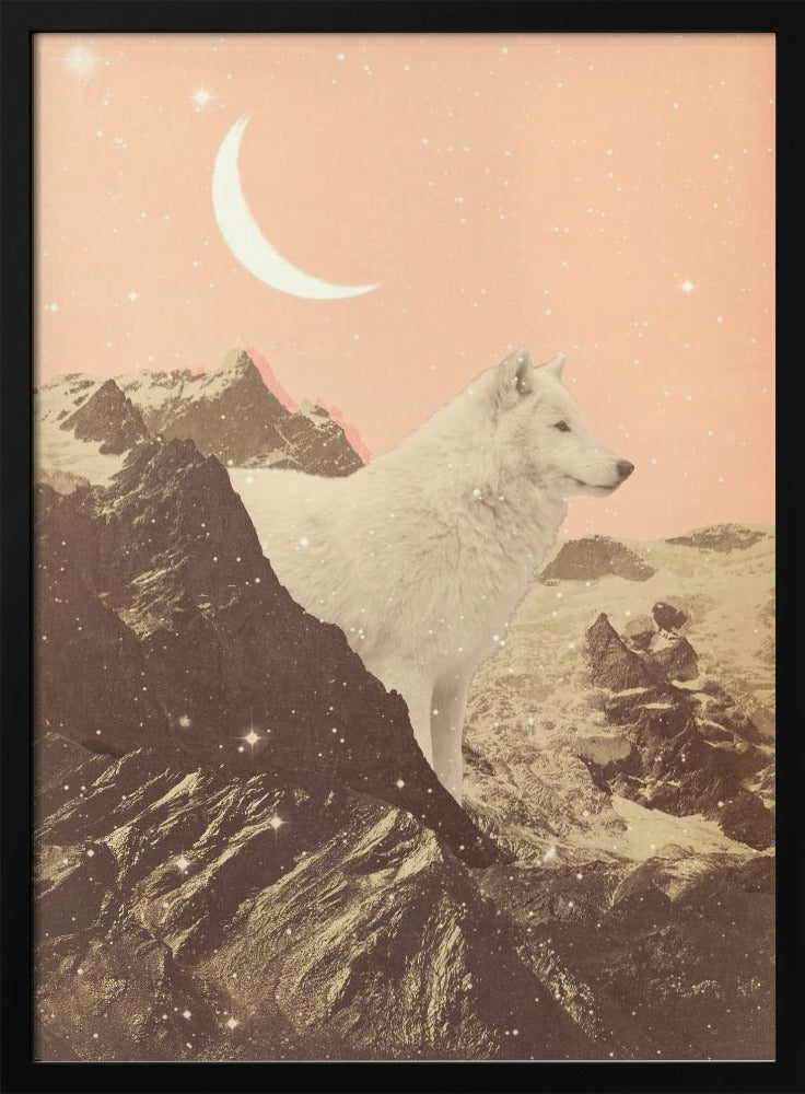 Giant White Wolf In Mountains | Poster