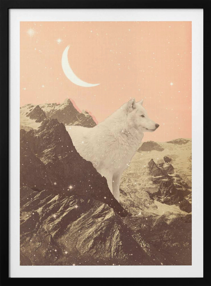 Giant White Wolf In Mountains | Poster