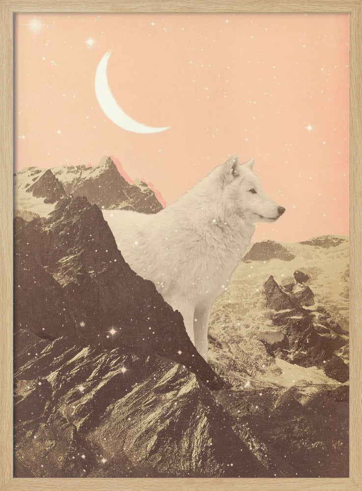 Giant White Wolf In Mountains | Poster