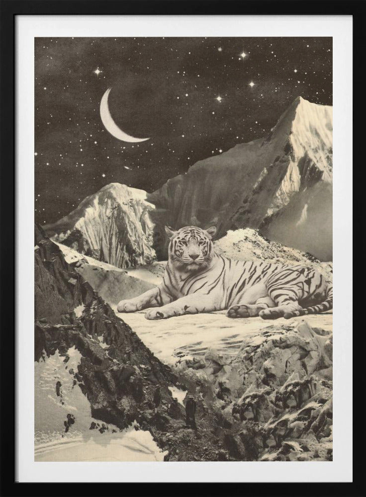 Giant White Tiger | Poster