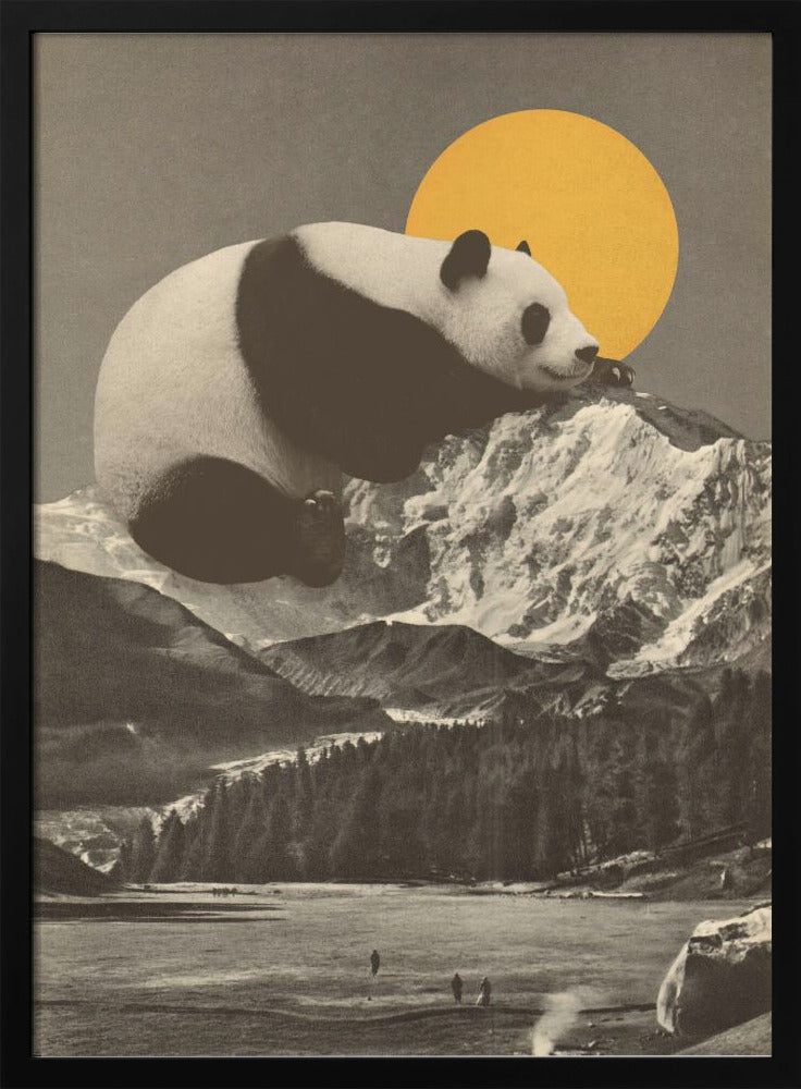 Giant Panda Nap | Poster