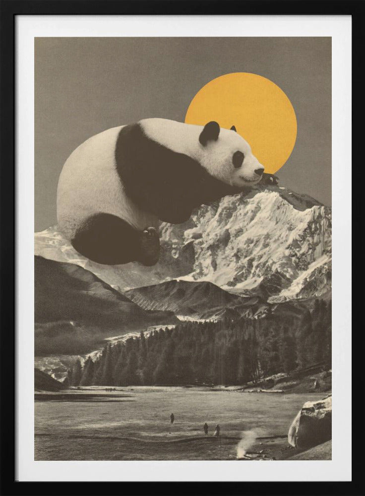 Giant Panda Nap | Poster