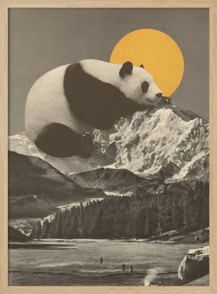 Giant Panda Nap | Poster