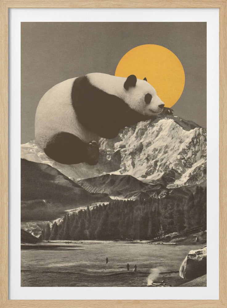 Giant Panda Nap | Poster