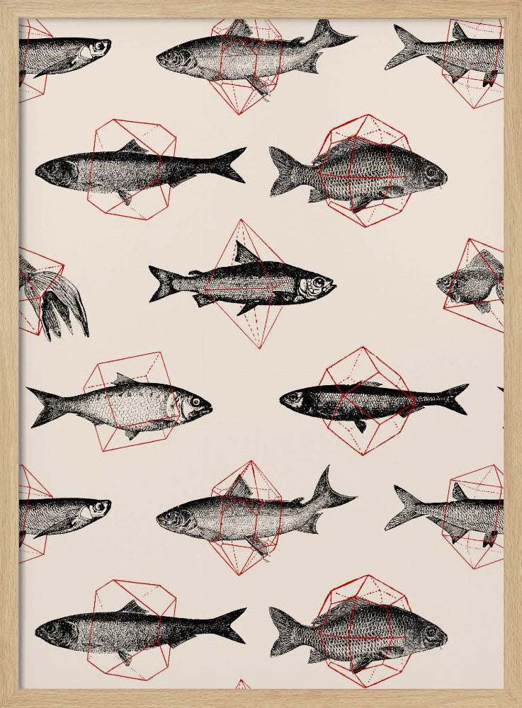 Fishes In Geometrics Nº4 | Poster