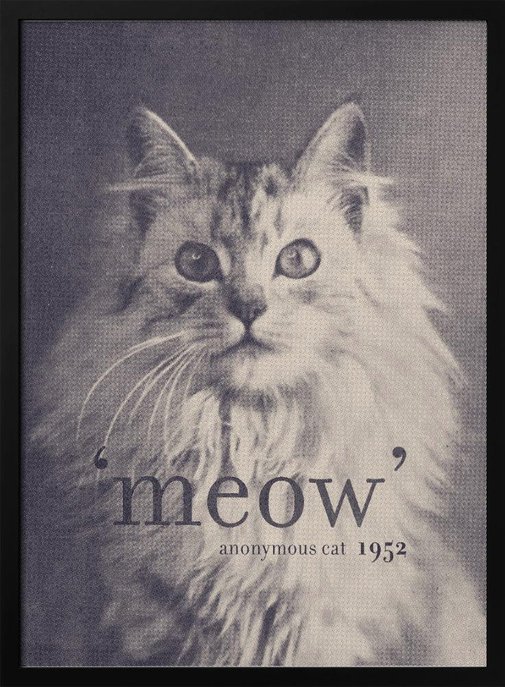 Famous Quote Cat | Poster