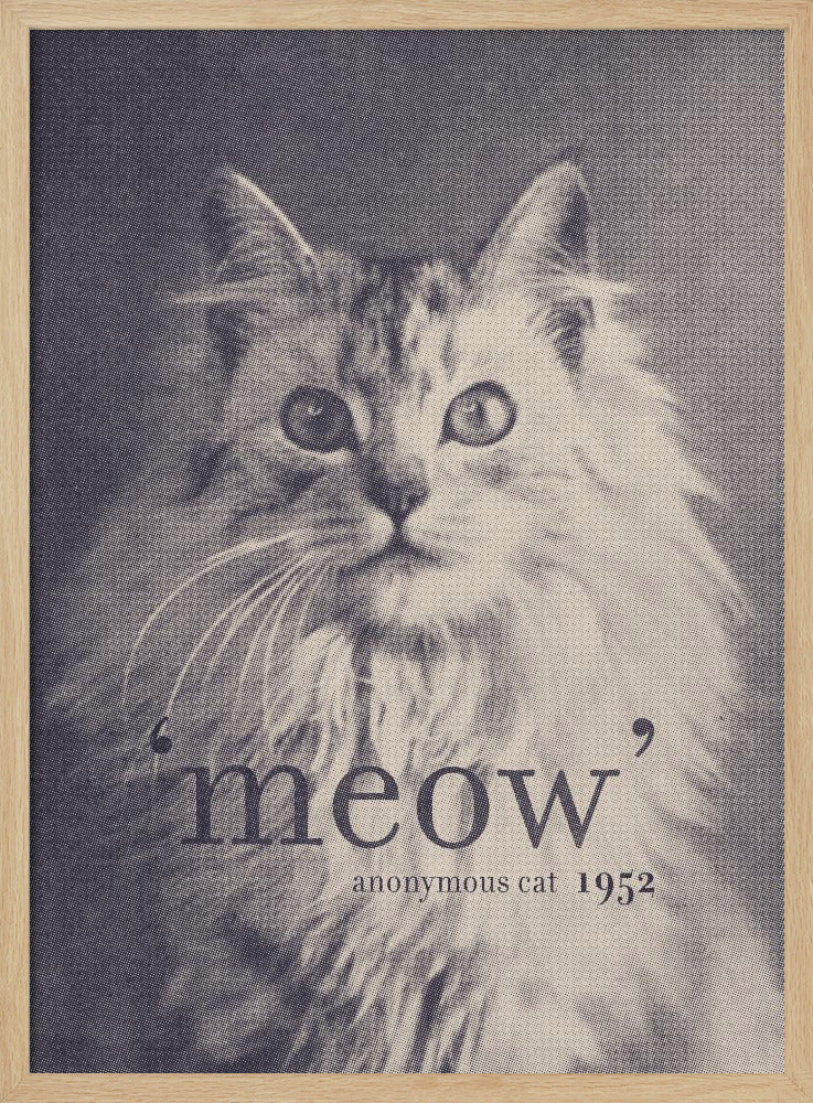 Famous Quote Cat | Poster