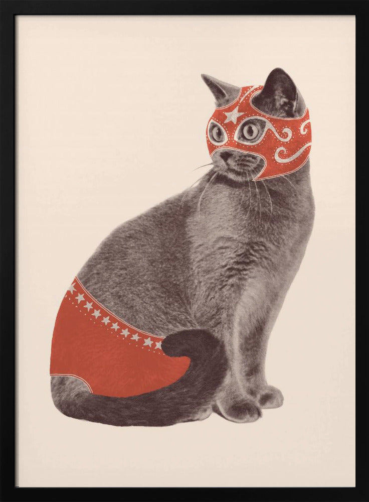 Chat Catcheur | Poster