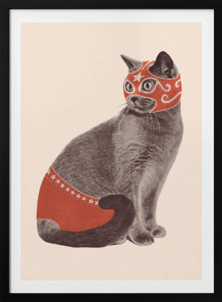 Chat Catcheur | Poster