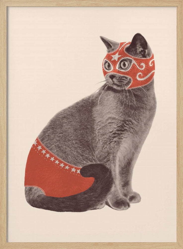 Chat Catcheur | Poster